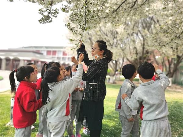 北京爱迪国际学校小学大语文 | 与“贺知章”来一场跨时空的春日相约！