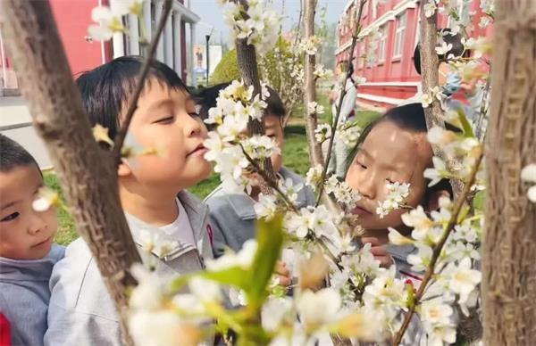北京爱迪国际学校小学大语文 | 与“贺知章”来一场跨时空的春日相约！