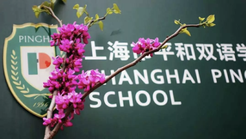 2022年5月国际学校秋招考试关键时期，开放日确定！                