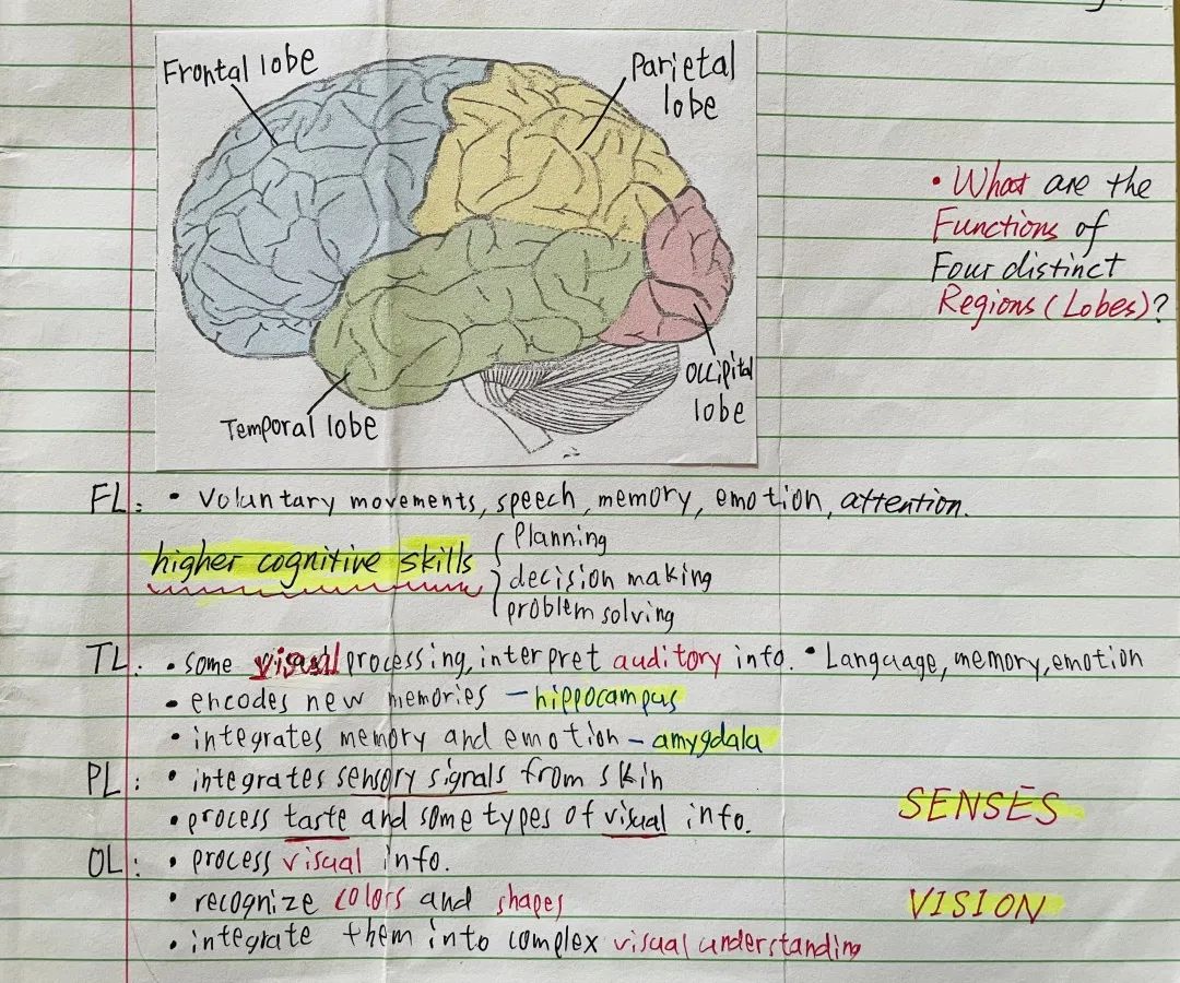 上海中学国际部2022 Brain Bee Junior全国赛喜报!                