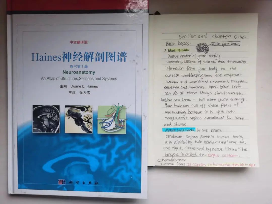 上海中学国际部2022 Brain Bee Junior全国赛喜报!                
