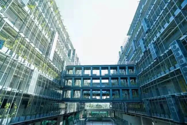 一位深国交国际学校女学霸的剑桥申请之路！经历了什么?                