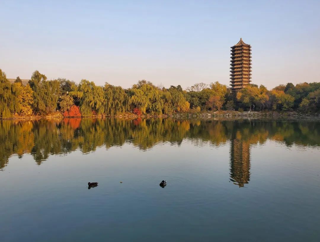 北京大学附属中学道尔顿学院我在燕园过暑假！                