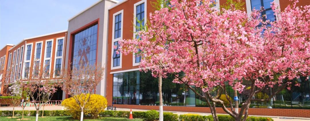 北京德威英国国际学校外教不辞而别！纯外籍学校外教和家长们怎么看?                