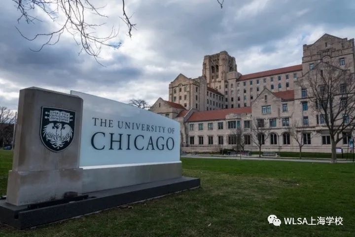 WLSA上海学校线上分享会系列——看学姐如何演绎芝大新篇章                