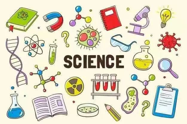 燎原国际课程班科学如何教?我们和老师聊了聊学科中的奥秘                