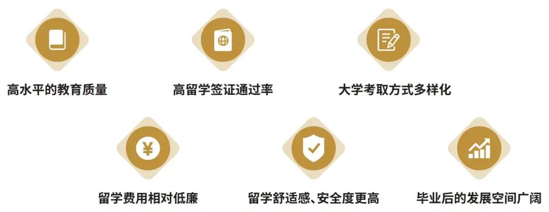 新虹桥中学中日高中国际课程简介                