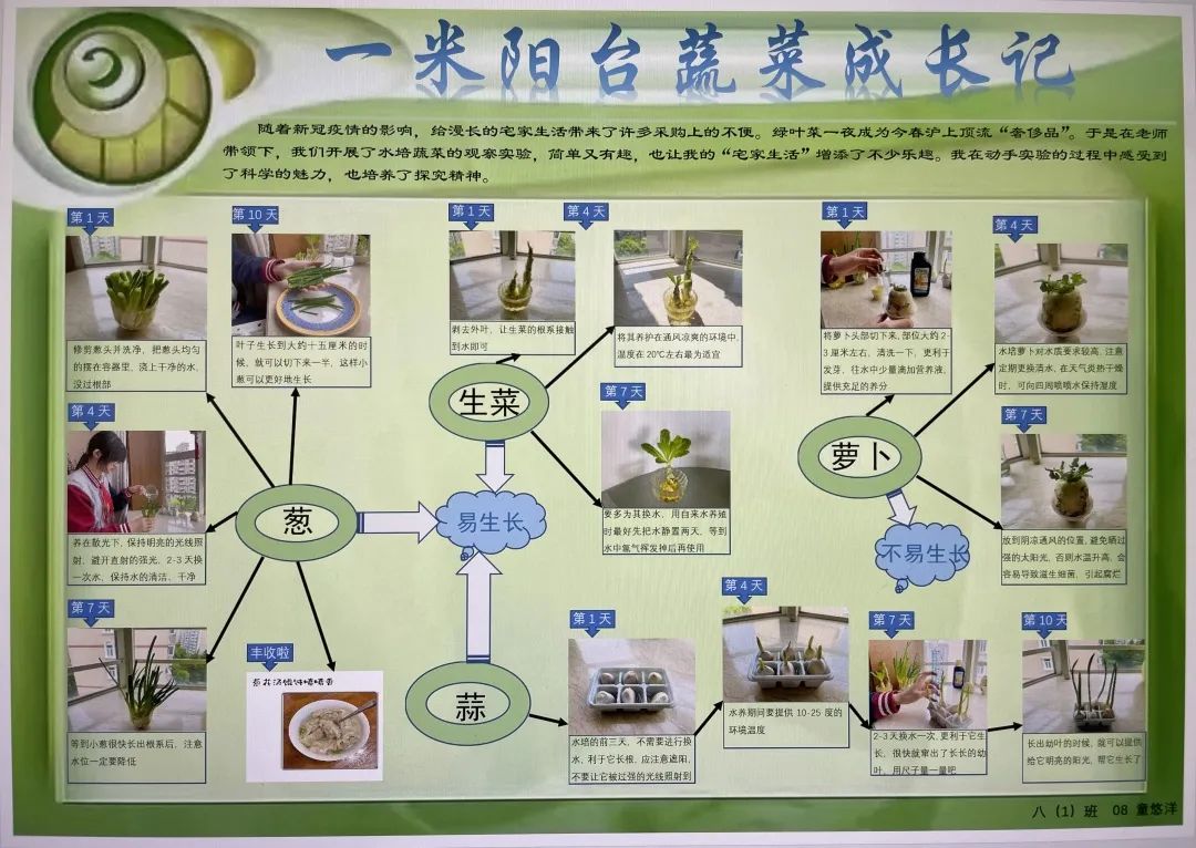 科技相承，守望防疫——上海民办位育中学第六届线上科技周                