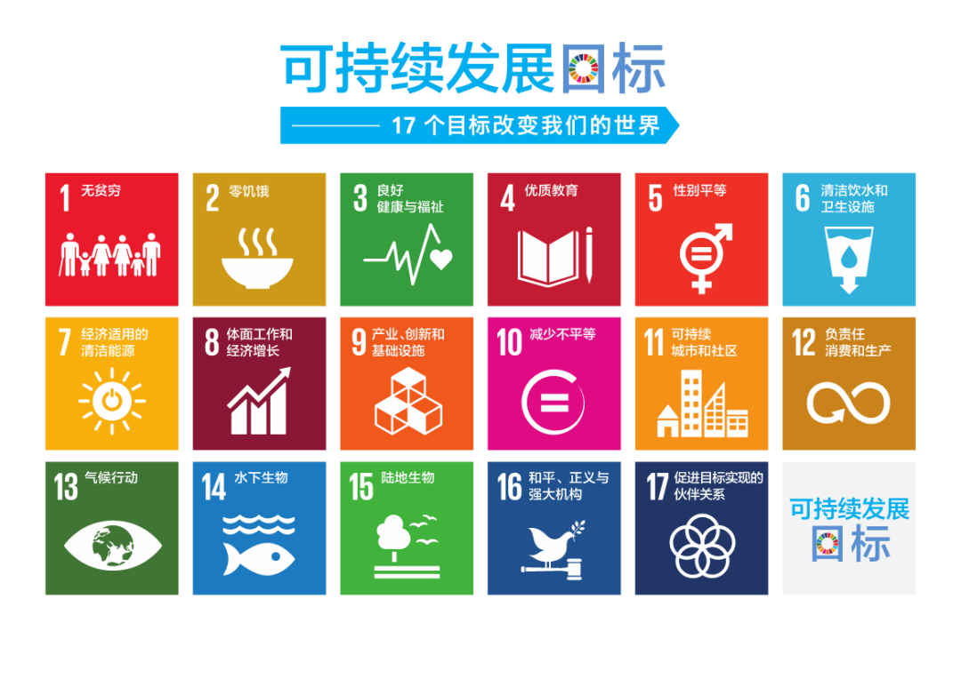 上海万科双语居家自创“SDGs”小实验，生活变得更有趣                