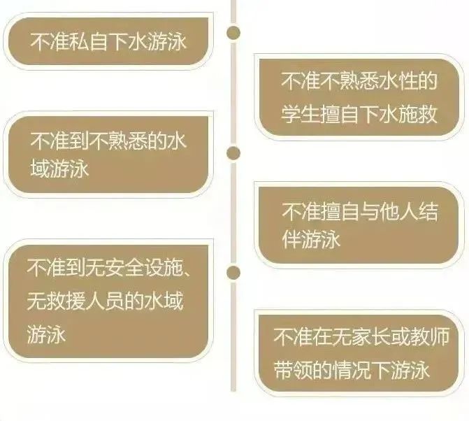 珍爱生命，谨防溺水——LFIS防溺水教育                