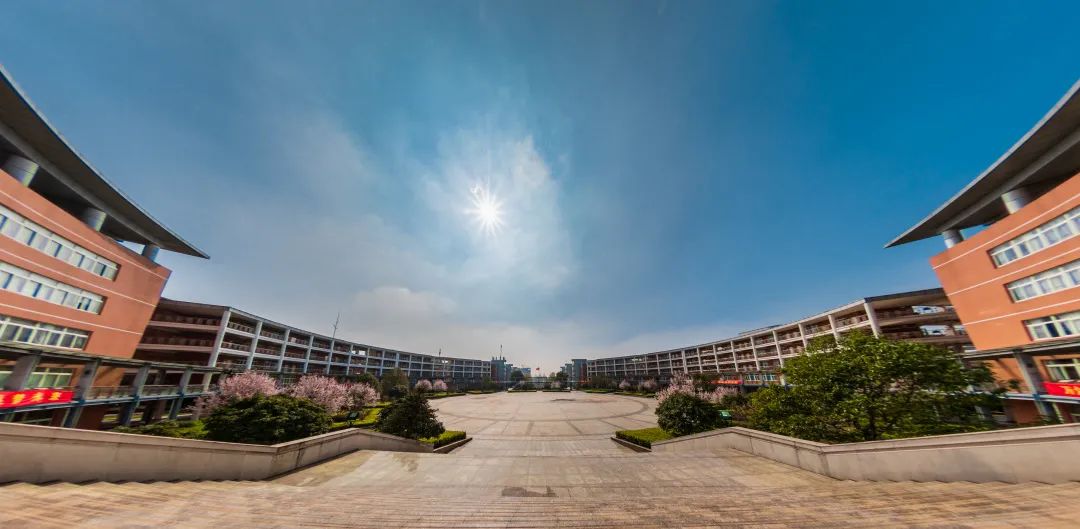 2022年南京师大附中江宁分校小学招生简章                