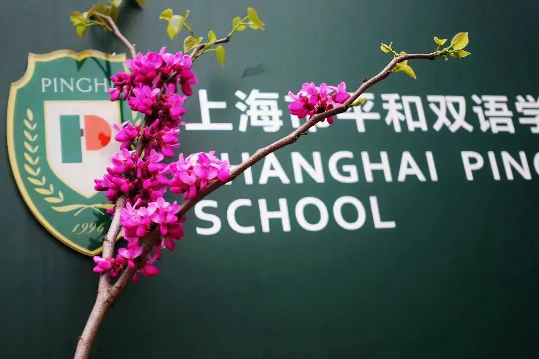 2022校园开放日|光华中学的毕业生，去哪儿了?                