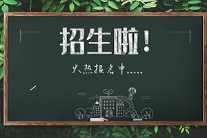 北外同文外国语学校小语种高考班2022年招生计划 _ 北京市朝阳区北外同文外国语学校