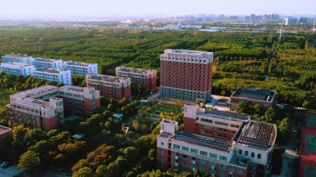 上海国际学校入学考试都考什么?领科化学超纲！光剑数学难度升级20%?                
