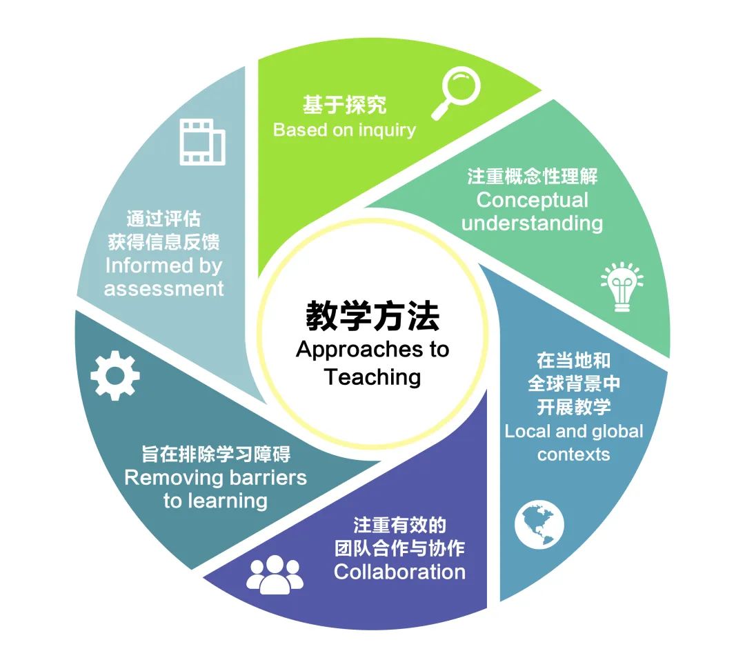 上海民办常青藤学校一文看懂什么是探究课、探究型学生是什么样子的                