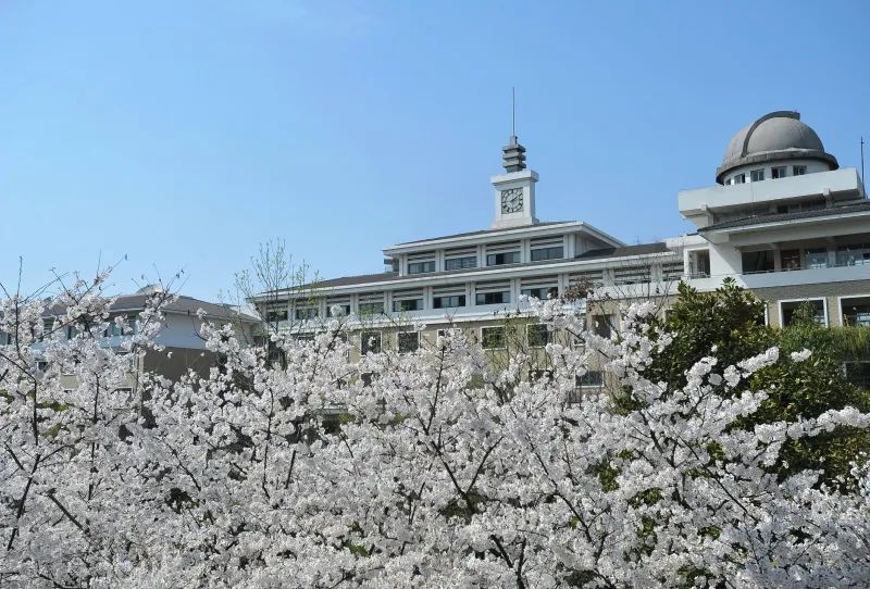 2022年杭州公办学校国际部招生考情大放送！                