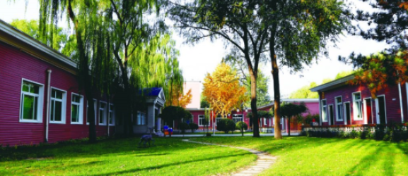 清华志清国际（高中）开设什么课程?2022年学费多少年?