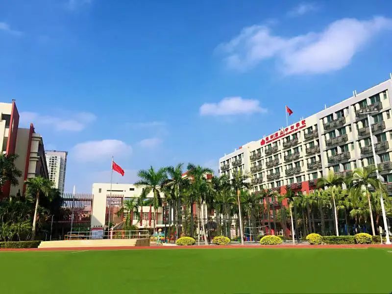 大湾区艺术院校盘点，有哪些艺术特色国际学校可以选择?                