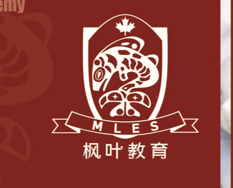 深圳龙岗区国际学校一览 深圳国际学校有哪些