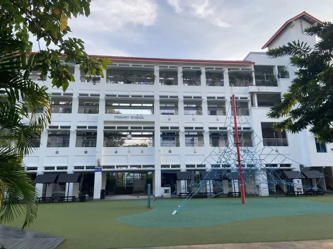 去东南亚国际学校读书，爬藤就更有优势吗?                