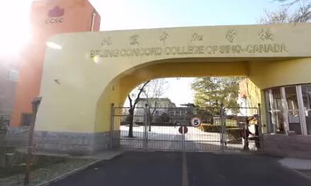 2022年北京中加学校袋鼠数学竞赛获奖喜报！ _ 北京中加学校