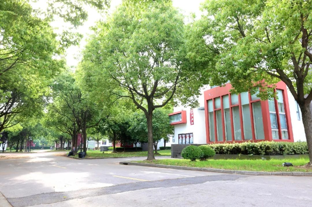 2022年上海美达菲学校秋季招生简章介绍