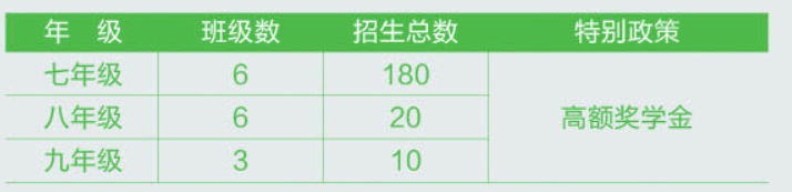 如皋市龙游湖外国语学校介绍