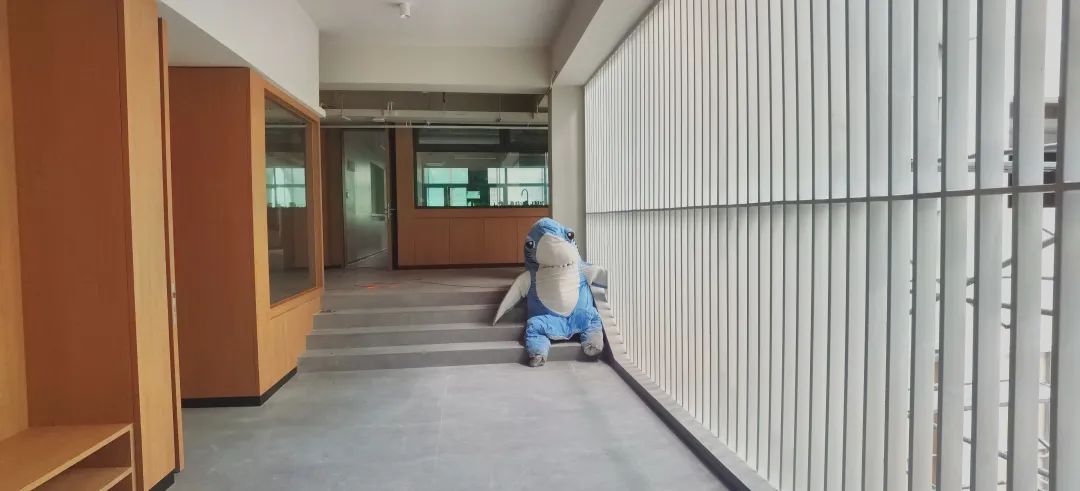 维多利亚中小学校园环境首公开！                