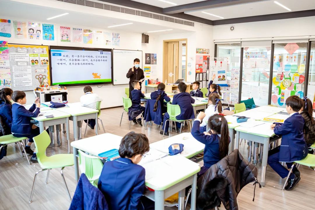 Full Authorization for IB PYP and MYP 喜讯 | 爱莎科学城已获IB全流程认证! 广州科学城爱莎外籍人员子女学校已获IB全流程认证
