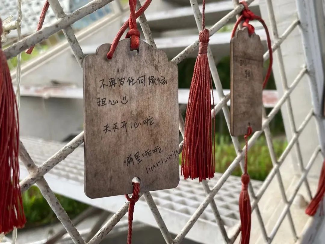 万科梅沙书院优秀学生经验分享                