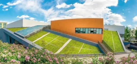 济南枫叶双语学校高中部1+3/2+2国内大学项目介绍 _  _ 中央财经大学 _ 济南枫叶双语学校