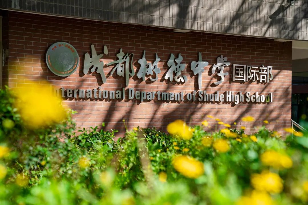 2022年成都树德中学（九中）国际部录取线出炉！                