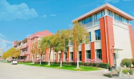 上海国际学校都学的哪些课程?哪些学校课程最齐全?                