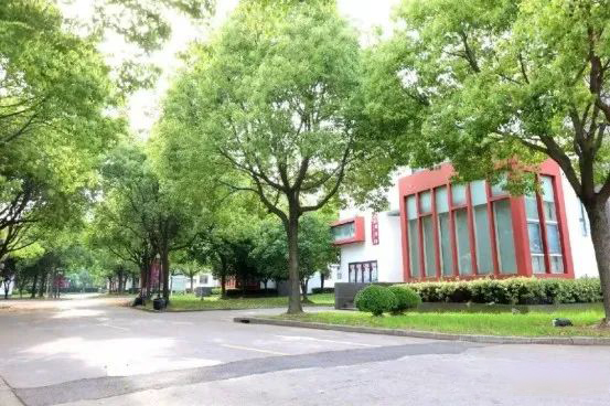 上海国际学校都学的哪些课程?哪些学校课程最齐全?                