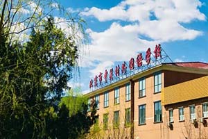 7月9日，中关村外国语学校国际高中开放日预约中 _ 北京市中关村外国语学校