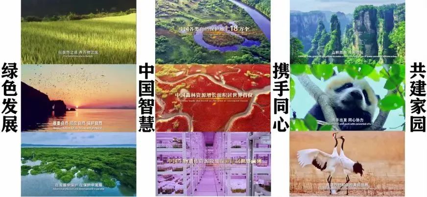 富源学子在宝安区首届模拟联合国校际线上展示活动中大放异彩                