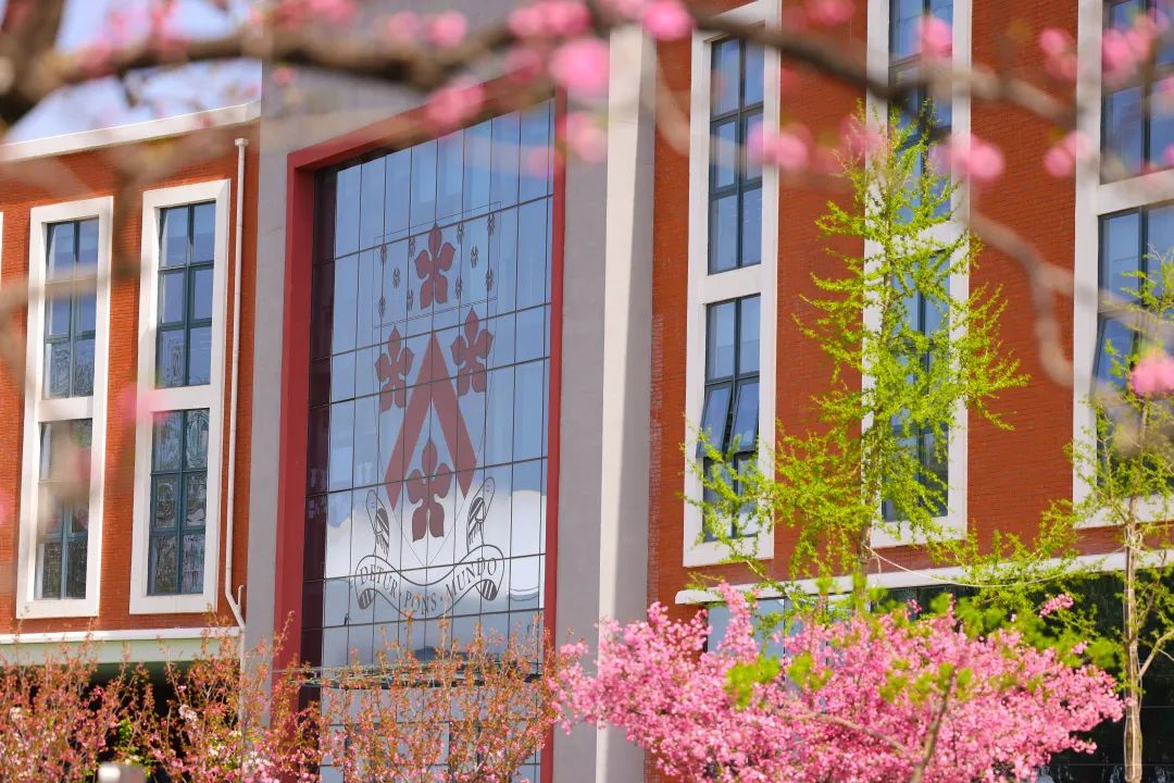 北京德威2022届毕业生取得优异IB成绩！                