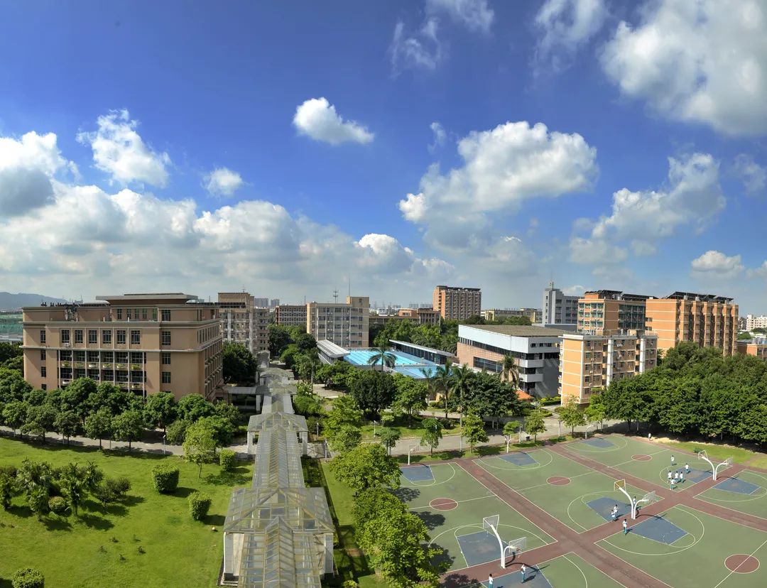 广州广外外籍人员子女学校诚聘教师                