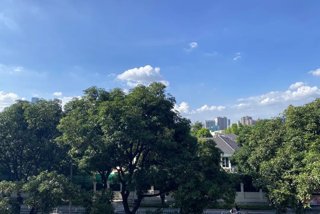 执信二沙岛国际校区校园环境简介                