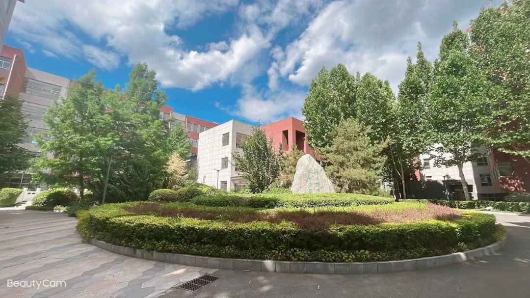 北师大二附国际部学生访谈                
