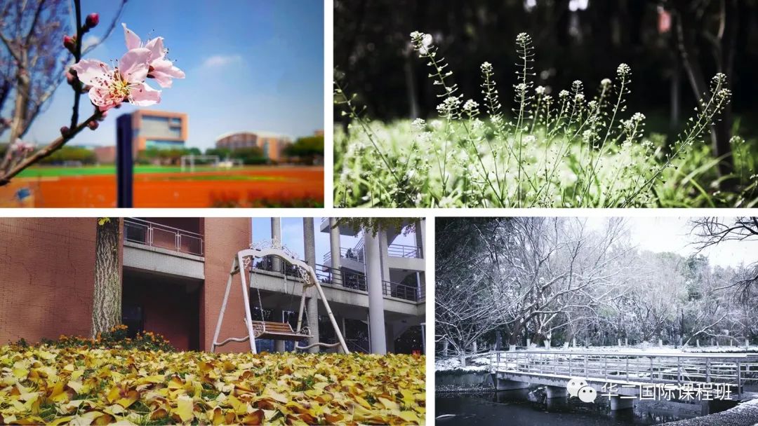 2022年华东师范大学第二附属中学高中自主招生方案（含国际课程班）                