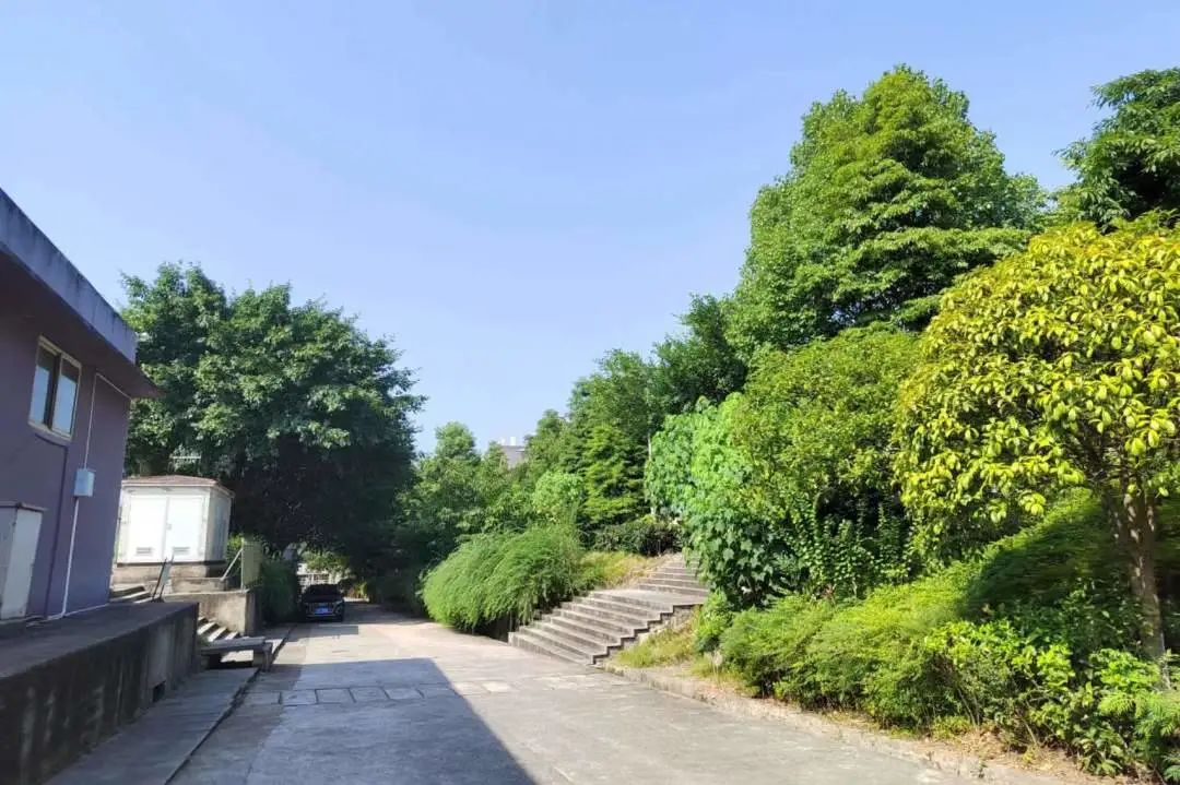 重庆巴蜀常春藤学校精品复读学部公益课堂                