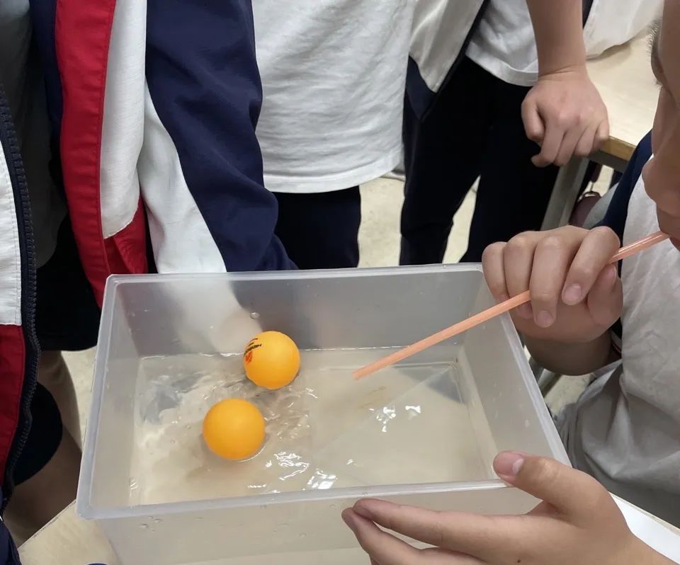新川外国语学校初中部物理组介绍                