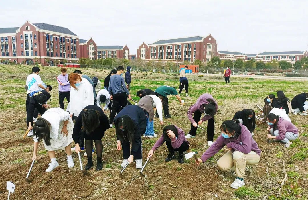上海建桥国际高中TGA上半年精彩回顾                