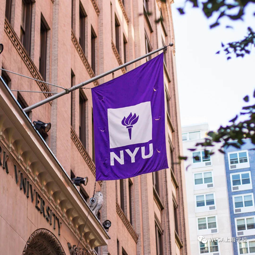 WLSA上海学校线上分享会系列——NYU在读学长的申请心得                