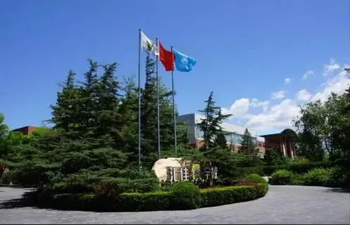 国际学校高一学生的暑假规划分享                