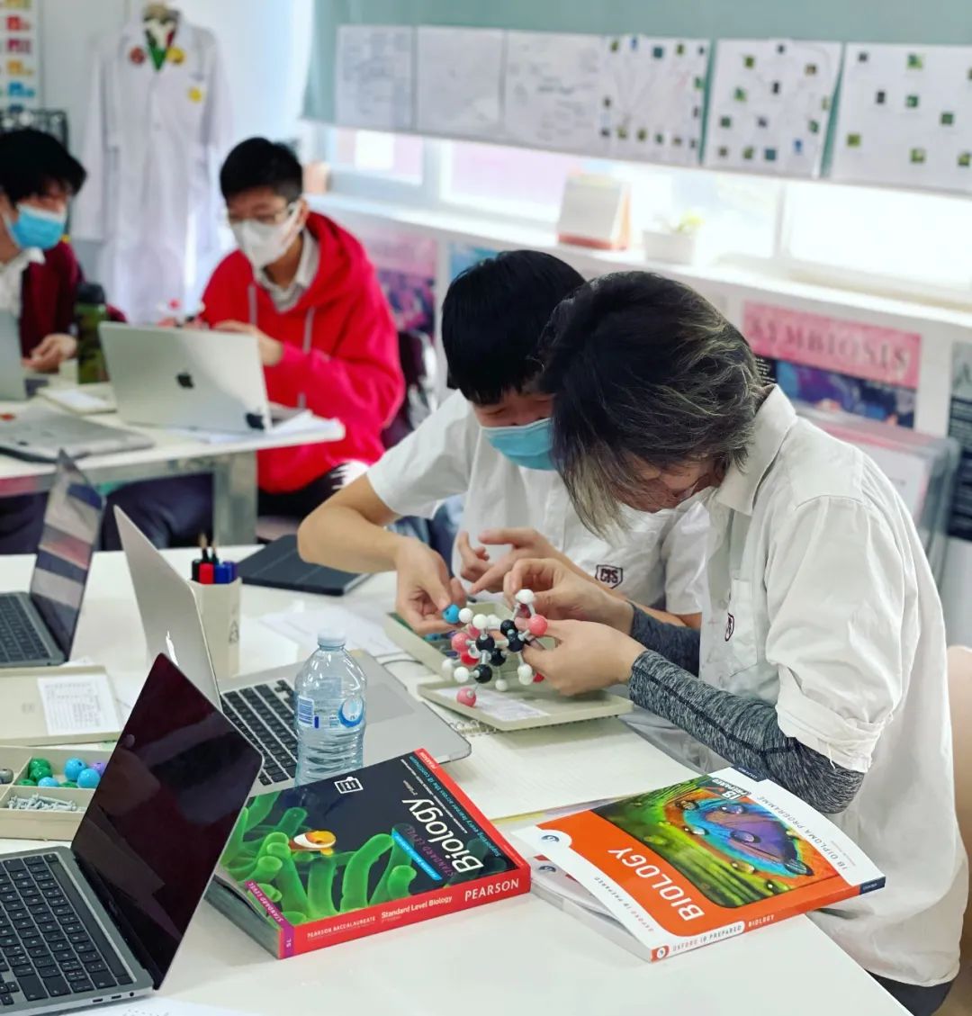 北京加拿大国际学校学生高光时刻                