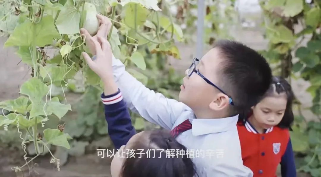 上海美高双语学校田园科技探索营                