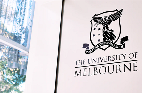 上海美达菲学校国际学校升学规划指南                