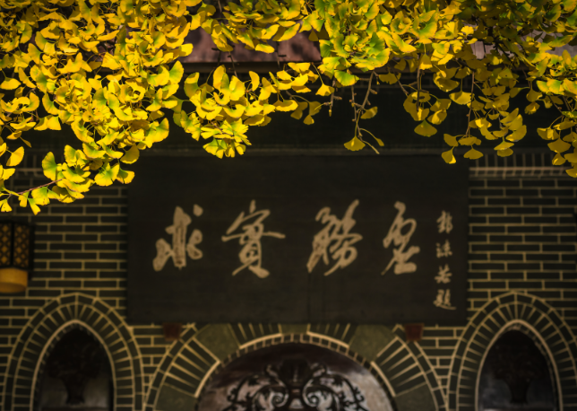 解读成都的四七九国际部有有哪些呢?
